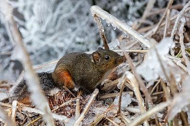 《龙之信条2》总监：未考虑任何形式的多人模式