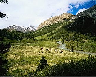 任天堂爆料人火速闭麦跑路 只因信息源渠道遭曝光