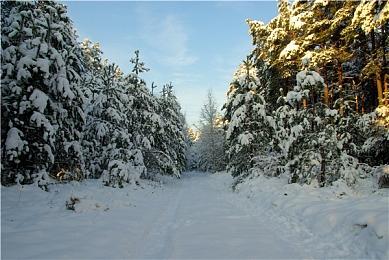 多位《质量效应》三部曲主创正在主导开发新作