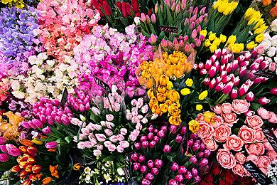 像素叙事游戏《长梦》试玩9月29日上线 流程40分钟